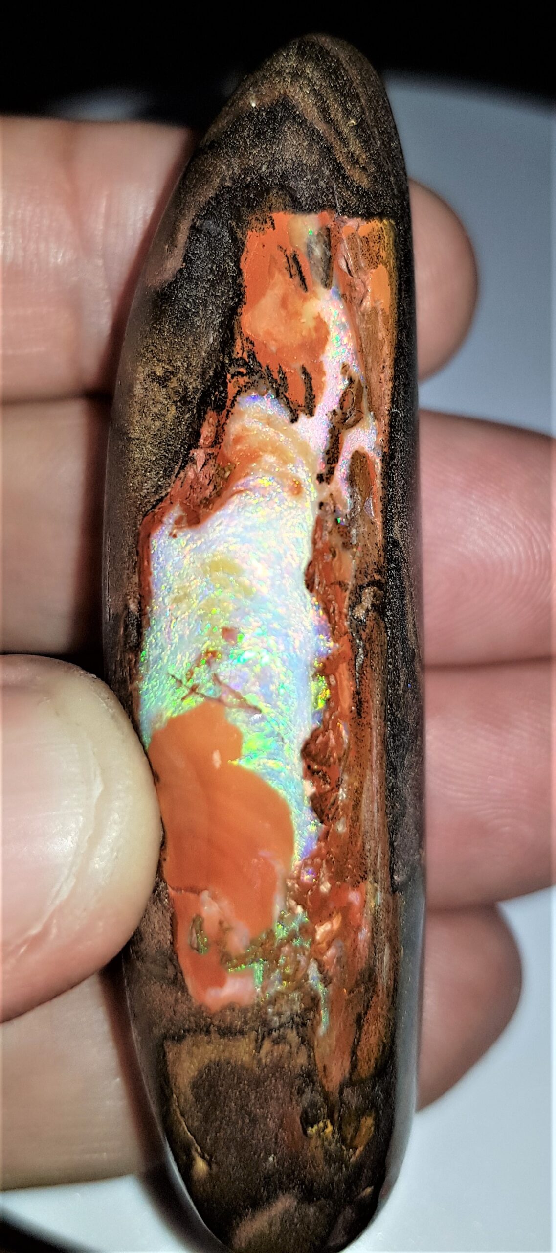 159.7ct Striking Boulder Opal - Phoenix Opals Australia